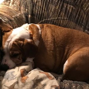 Meet your Posher, Jack